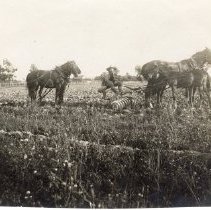 Photograph, Skinner farm